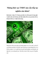 những lĩnh vực tmđt nào cần tiếp tục nghiên cứu thêm