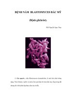 BỆNH NẤM BLASTOMYCES BẮC MỸ (Bệnh gilchrist) pot