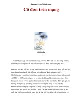 Cô đơn trên mạng (JannuszLeon Wisniewski)