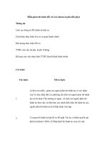 Miễn,giảm thi hành đối với các khoản án phí,tiền phạt pdf