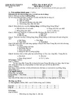 kiểm tra 45 phút học kì 2