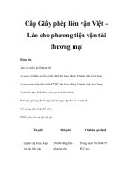 Cấp Giấy phép liên vận Việt – Lào cho phương tiện vận tải thương mại doc