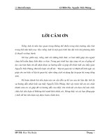 các tiểu luận tiếng anh