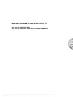 ngân hàng thương mại cổ phần sài gòn thương tín báo cáo tài chính hợp nhất của ngân hàng cho năm tài chính kết thúc ngày 31 tháng 12 năm  2010