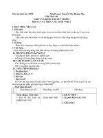 BÀI 43 CẤU TRÚC VIRUTT