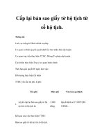 Cấp lại bản sao giấy tờ hộ tịch từ sổ hộ tịch ppsx