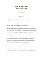 LUYỆN ĐỌC TIẾNG ANH QUA CÁC TÁC PHẨM VĂN HỌC –The Black Tulip ALEXANDRE DUMAS CHAPTER 23 potx