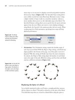 Adobe illustrator cs4- P4 ppsx