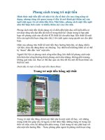 Phong cách trang trí mặt tiền pptx