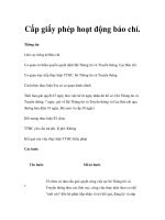 Cấp giấy phép hoạt động báo chí pdf