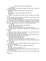 MỘT SỐ TRÒ CHƠI TỔ CHỨC NGOÀI SÂN BÃI