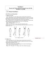 Tài liệu bồi dưỡng GV tiểu học - Tiểu Mô đun - Thể dục - Phần 2 pptx