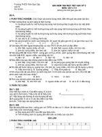 Đề kiểm tra 1 tiết kỳ 2 lớp 9 (09-10)