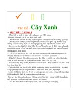 giao an lớp Mầm tuần 19