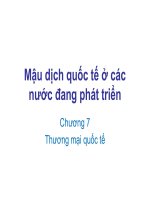 Mậu dịch quốc tế ở các nước đang phát triển_Chương 7: Thương mại quốc tế pps