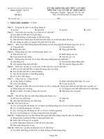 ĐỀ THI LÍ 10 - HK II (Đ. ÁN)