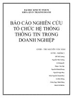 tiểu luận báo cáo nghiên cứu tổ chức hệ thống thông tin trong doanh nghiệp