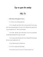 Áp xe gan do amip (Kỳ 3) pps