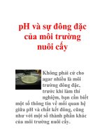 pH và sự đông đặc của môi trường nuôi cấy pot