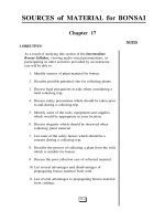 INTERMEDIATE BONSAI - Part 7 ppsx