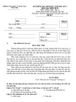 Đề KT GK II TIếng việt lớp 5