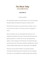 LUYỆN ĐỌC TIẾNG ANH QUA CÁC TÁC PHẨM VĂN HỌC –The Black Tulip ALEXANDRE DUMAS CHAPTER 16 16. Master and Pupil The worthy Master Gryphus, as the pps