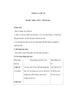 Chính tả lớp 3 - NHỚ -VIẾT : TIẾNG RU ppt