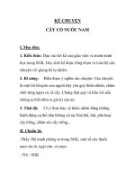 KỂ CHUYỆN CÂY CỎ NƯỚC NAM potx