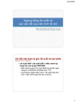 Ngang bằng lãi suất và  các vấn đề của nền kinh tế mở