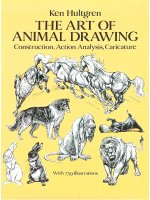 The Art Animal Drawing - Tips on drawing animal pptx