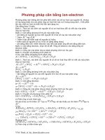 pp cân bằng ion electron