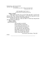 Đề thi văn 11 8 tuần học kì II