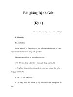 Bài giảng Bệnh Gút (Kỳ 1) docx