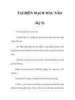 TAI BIẾN MẠCH MÁU NÃO (Kỳ 5) docx