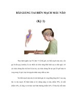 BÀI GIẢNG TAI BIẾN MẠCH MÁU NÃO (Kỳ 1) potx
