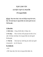 TẬP LÀM VĂN LUYỆN TẬP TẢ NGƯỜI (Tả ngoại hình) docx