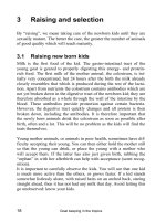 Goat keeping in the tropics - Part 3 ppsx