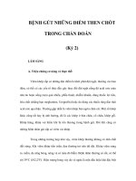 BỆNH GÚT NHỮNG ĐIỂM THEN CHỐT TRONG CHẨN ĐOÁN (Kỳ 2) ppsx