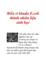 Biến vi khuẩn E.coli thành nhiên liệu sinh học doc