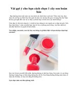 Vài gợi ý cho bạn cách chọn 1 cây son hoàn hảo ppsx