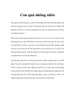 Kiến thức cha me cần biết - Phần 6 doc