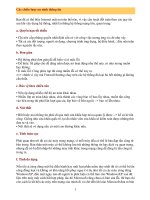 Các chiến lược an ninh thông tin pptx