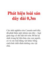Phát hiện loài sán dây dài 0,3m pps