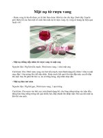 Mặt nạ từ rượu vang pptx