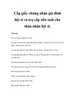 Cấp giấy chứng nhận gia đình liệt sĩ và trợ cấp tiền tuất cho thân nhân liệt sĩ. docx