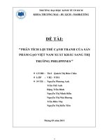 Phân tích lợi thế cạnh tranh của sản phẩm gạo việt nam xuất khẩu sang thị trường philipines