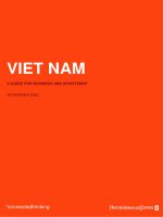 VIET NAM A GUIDE FOR BUSINESS AND INVESTMENT pptx