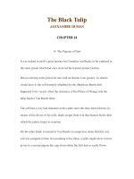 LUYỆN ĐỌC TIẾNG ANH QUA CÁC TÁC PHẨM VĂN HỌC –The Black Tulip ALEXANDRE DUMAS CHAPTER 14 potx