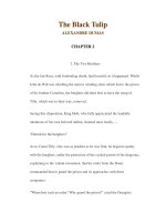 LUYỆN ĐỌC TIẾNG ANH QUA CÁC TÁC PHẨM VĂN HỌC –The Black Tulip ALEXANDRE DUMAS CHAPTER 2 pps