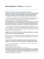 Môi trường kinh tế - xã hội potx